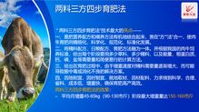 澤牧久遠(yuǎn)亮相2019武漢畜博會(huì) 以技術(shù)轉(zhuǎn)讓引領(lǐng)草食動(dòng)物營(yíng)養(yǎng)新風(fēng)潮